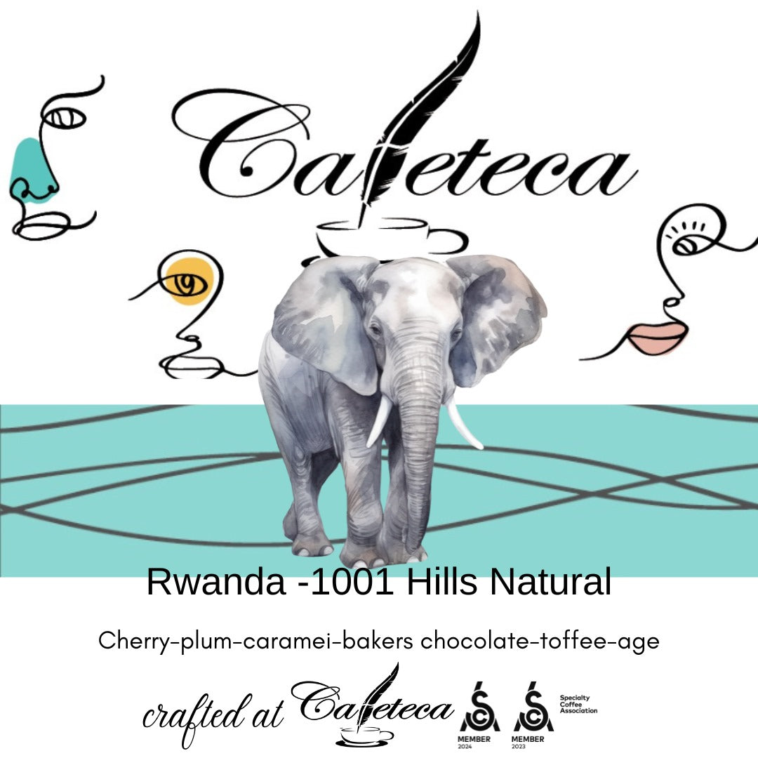 Cafea de Specialitate Rwanda 1001 Hills Natural