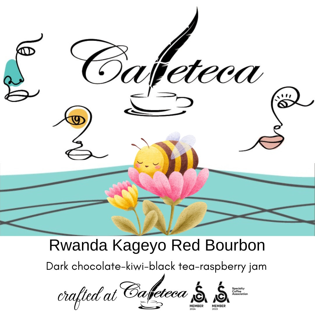 Rwanda Kageyo Red Bourbon Washed – cafea de specialitate curată și elegantă, cu note de ciocolată neagră, kiwi, ceai negru și gem de zmeură. Ideală pentru filtru și espresso modern.