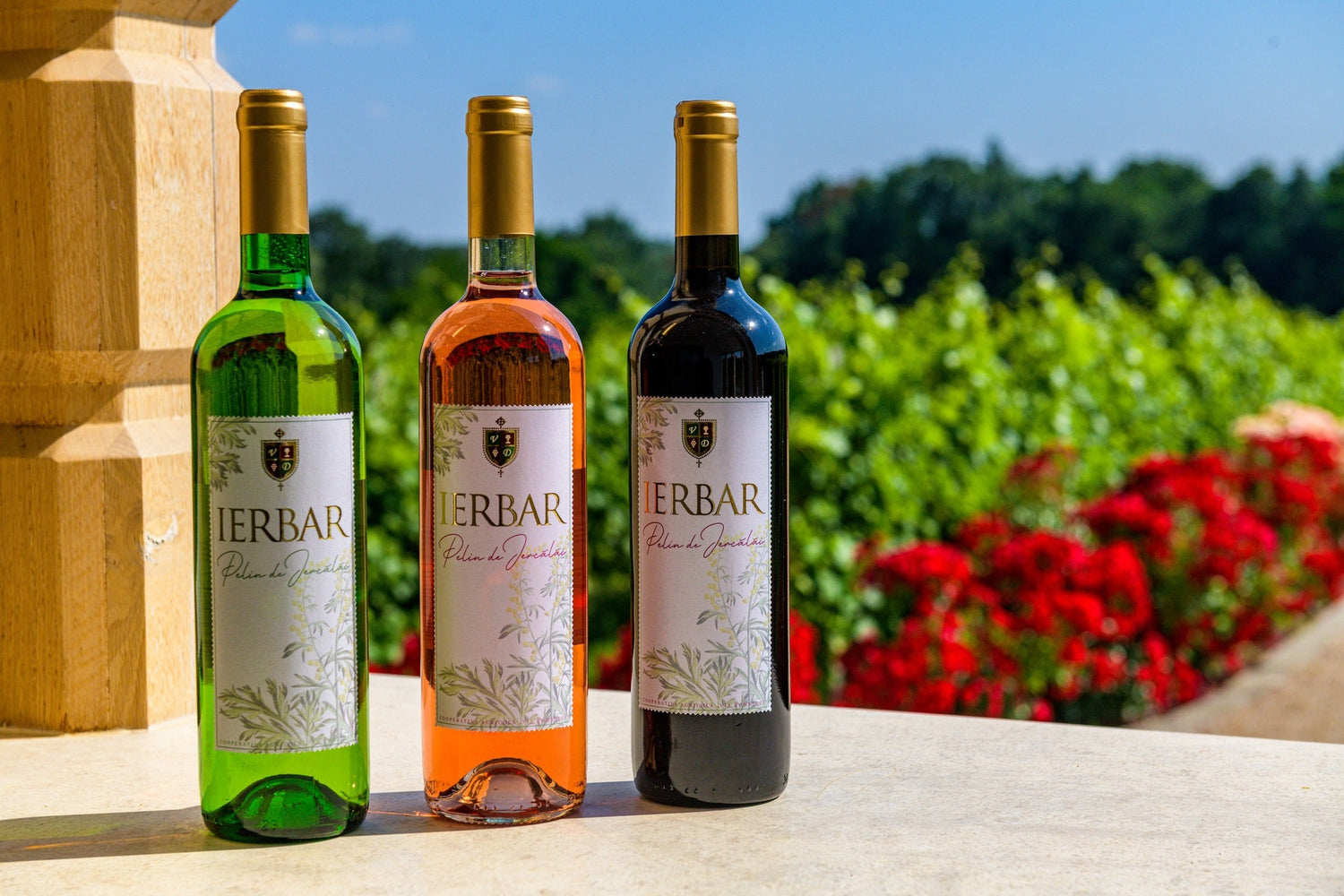 vin ierbar de jercalai alb, roz si rosu