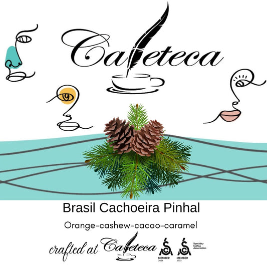 Cafea de Specialitate Brazilia Cachoeira Parana