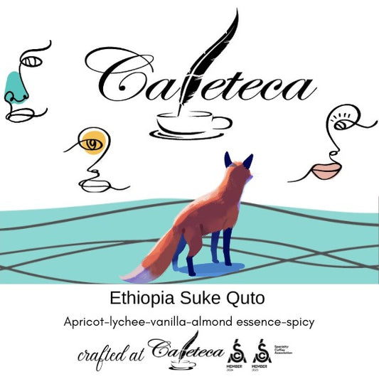 Ethiopia Suke Quto Specialty Coffee