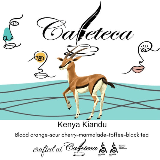 Cafea de Specialitate Kenya Kiandu AB