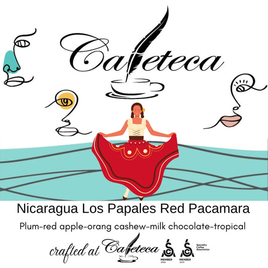 Nicaragua Los Papales Red Pacamara – cafea de specialitate dulce și cremoasă, cu note de prună, măr roșu, portocală, caju și ciocolată cu lapte. Potrivită pentru espresso și filtru.