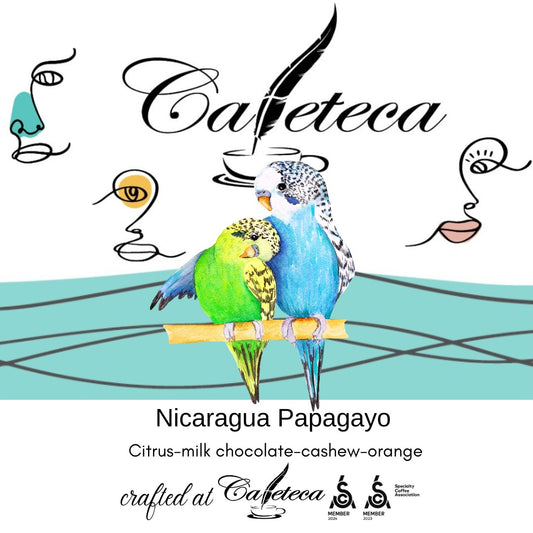 Cafea de Specialitate Nicaragua Papagayo EUDR RFA