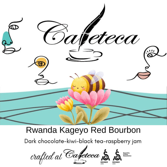Rwanda Kageyo Red Bourbon Washed – cafea de specialitate curată și elegantă, cu note de ciocolată neagră, kiwi, ceai negru și gem de zmeură. Ideală pentru filtru și espresso modern.