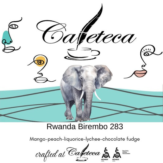 Cafea de Specialitate Rwanda Birembo 283